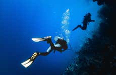 Bautismo de buceo en Comodoro Rivadavia
