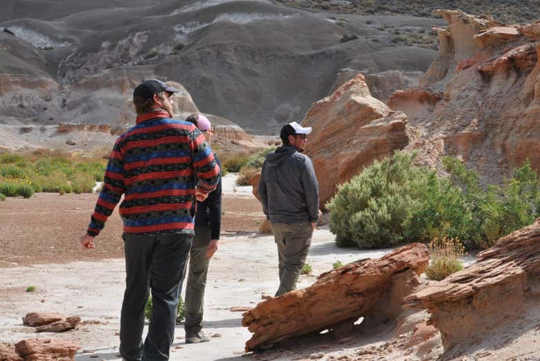 Caminando por los senderos del Valle de Marte