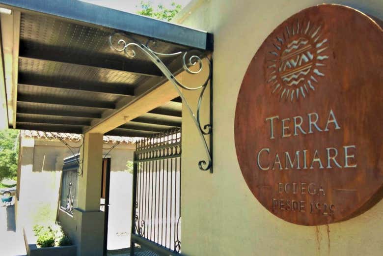 Terra Camiare winery