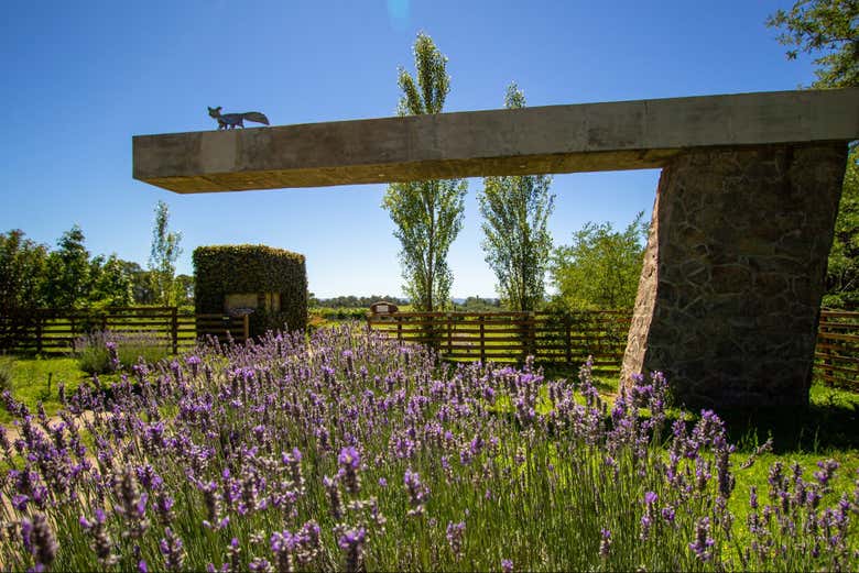 Llegando a la Finca Atos