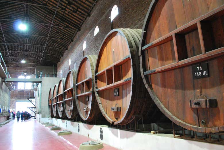 Inside the La Caroyense winery