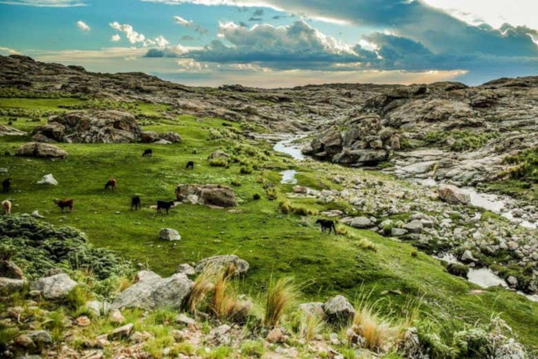 Natural landscapes in the Traslasierra Valley