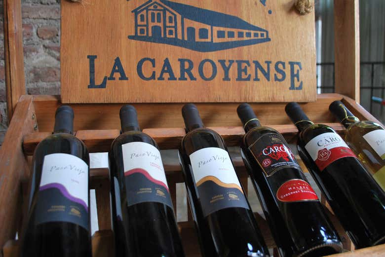 La Caroyense wines