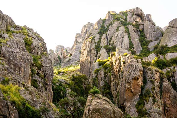 Trekking por el macizo de Los Gigantes
