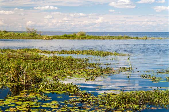 Excursión privada a los esteros del Iberá