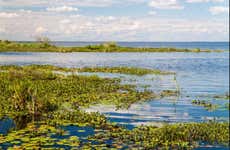 Excursión privada a los esteros del Iberá
