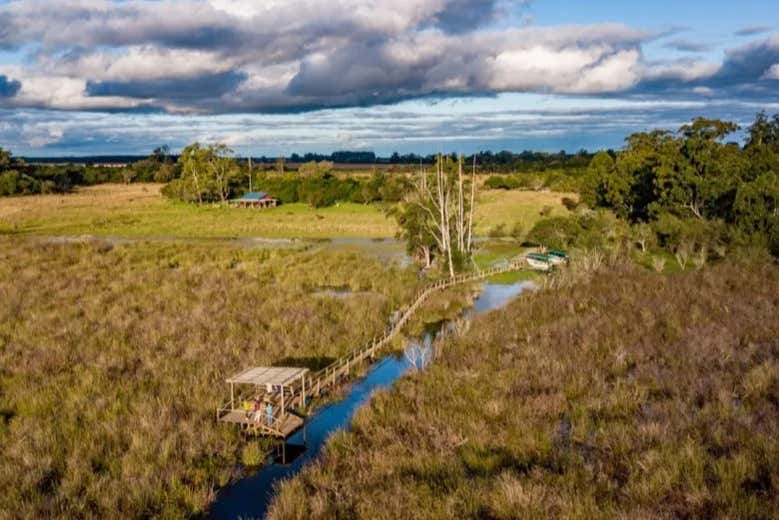  Excursión privada a los esteros del Iberá