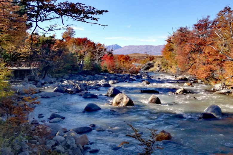 Cañadon del Arroyo Calafate Hiking Tour, El Calafate Civitatis