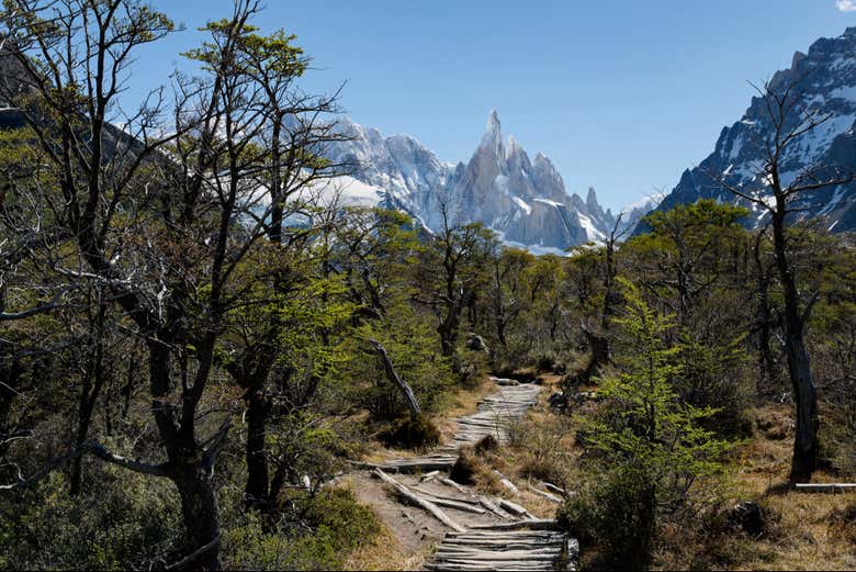 Caminata hasta el Mirador del Torre