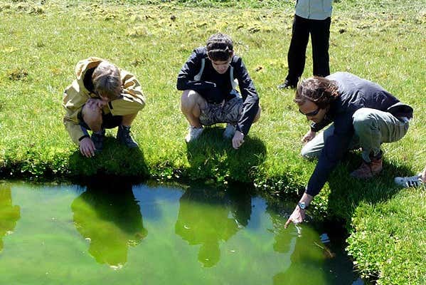 Conociendo la naturaleza local