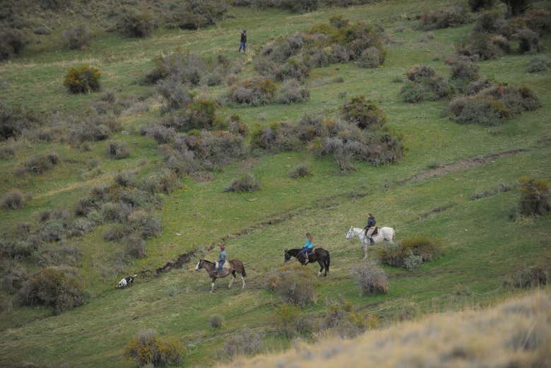 Disfrutando del paseo a caballo