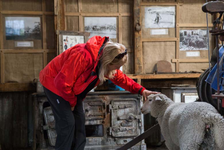 Shearing shed at the Nibepo Aike ranch