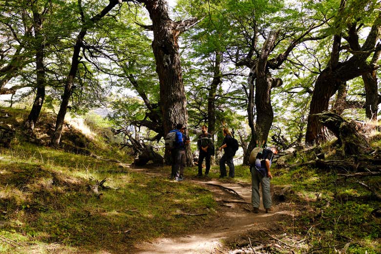 Il gruppo nei boschi della laguna Capri