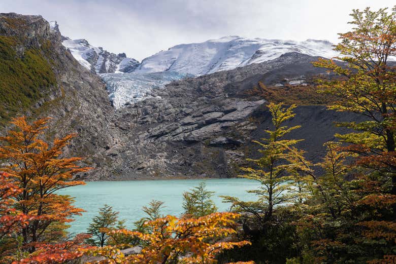 Vista panorámica del Glaciar Huemul