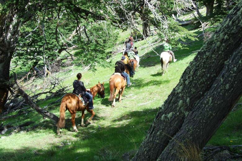 Passeio a cavalo pelo Cerro Frías