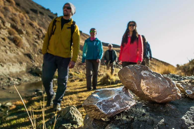Durante a caminhada por Cañadón del Arroyo Calafate