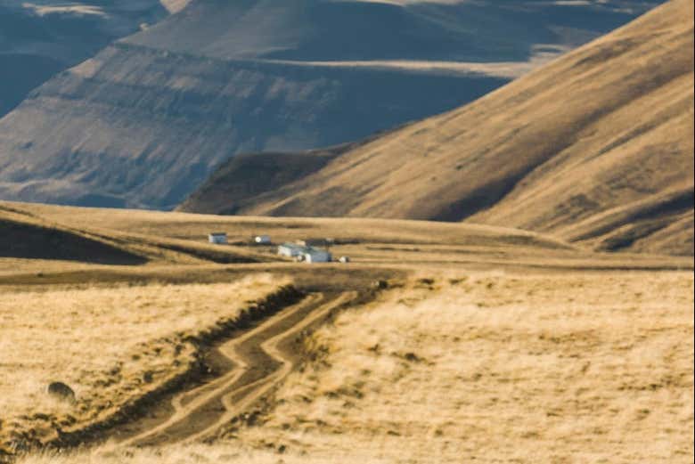 Senderos de El Calafate