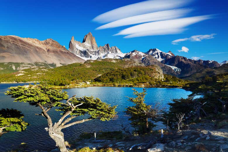 Circondati dalla natura lussureggiante