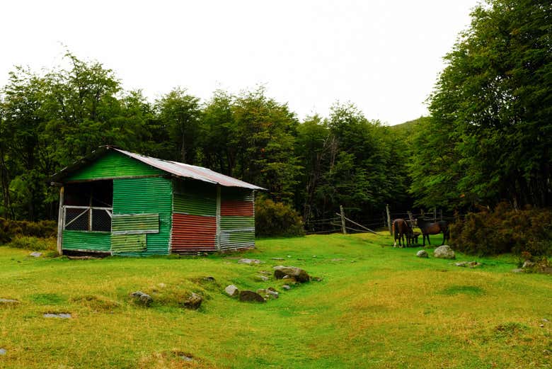 Em pleno contato com a natureza