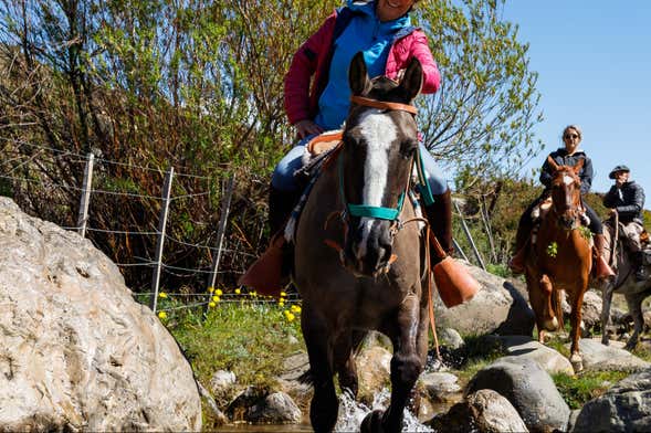Estancia 25 de Mayo Horse Riding