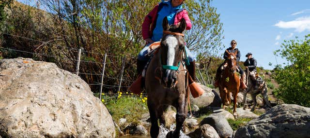 Balade à cheval dans l'Estancia 25 de Mayo