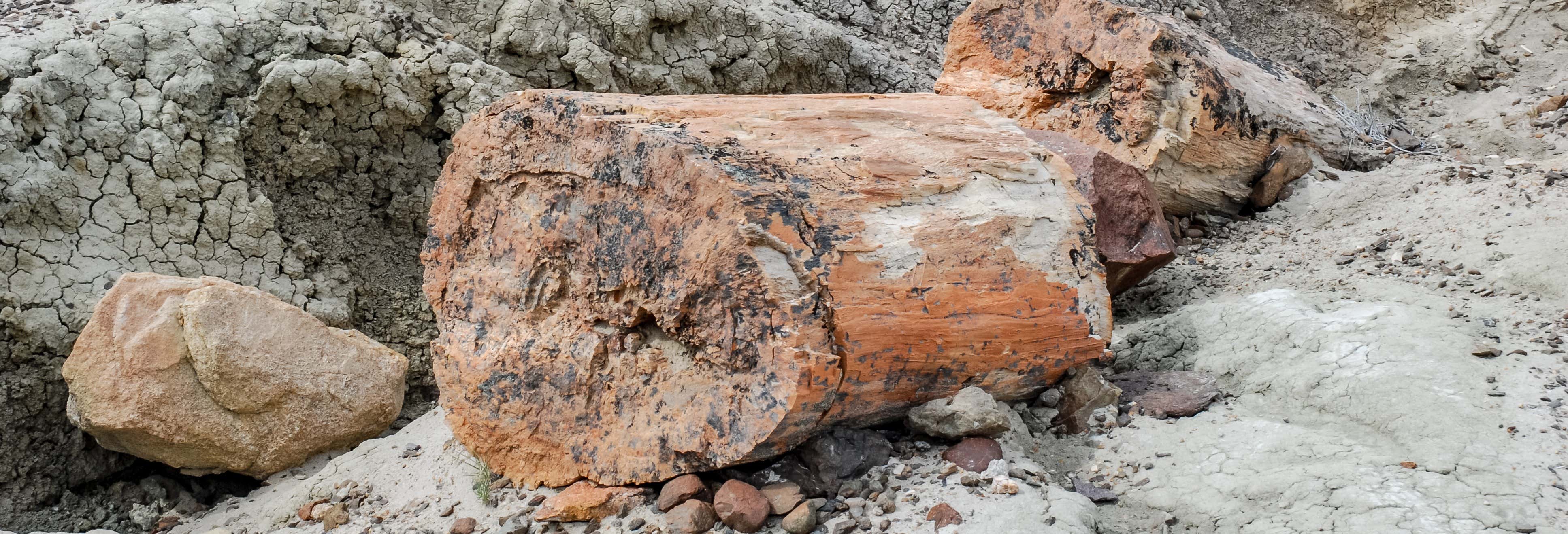 Senderismo / Trekking en El Calafate