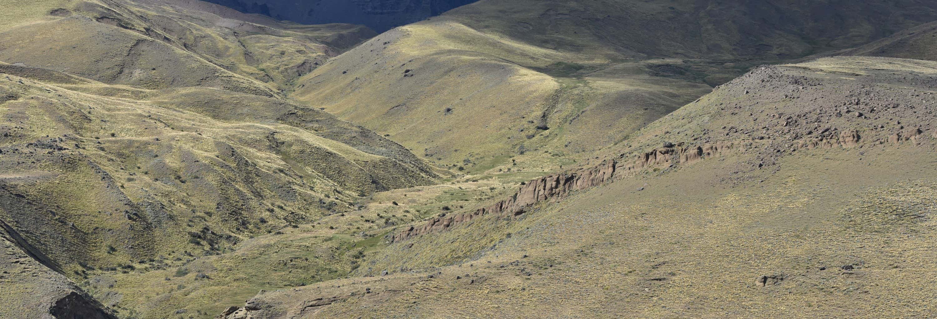 Visite guidate e free tour a El Calafate
