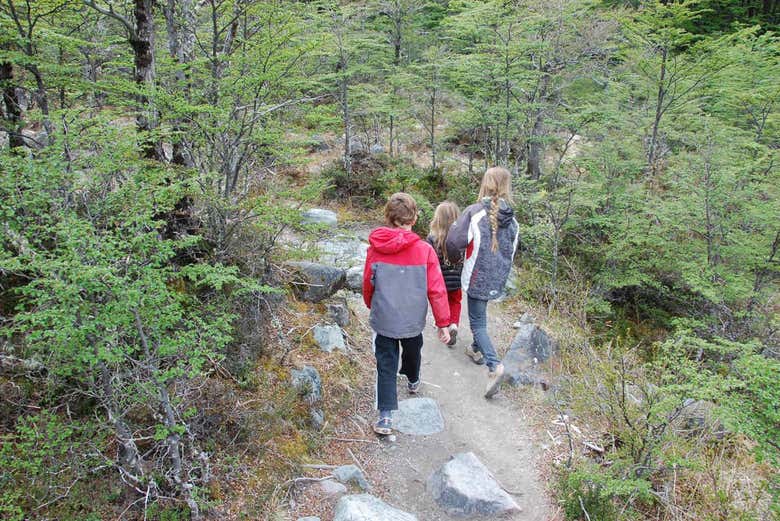 Practicando senderismo por los bosques patagónicos