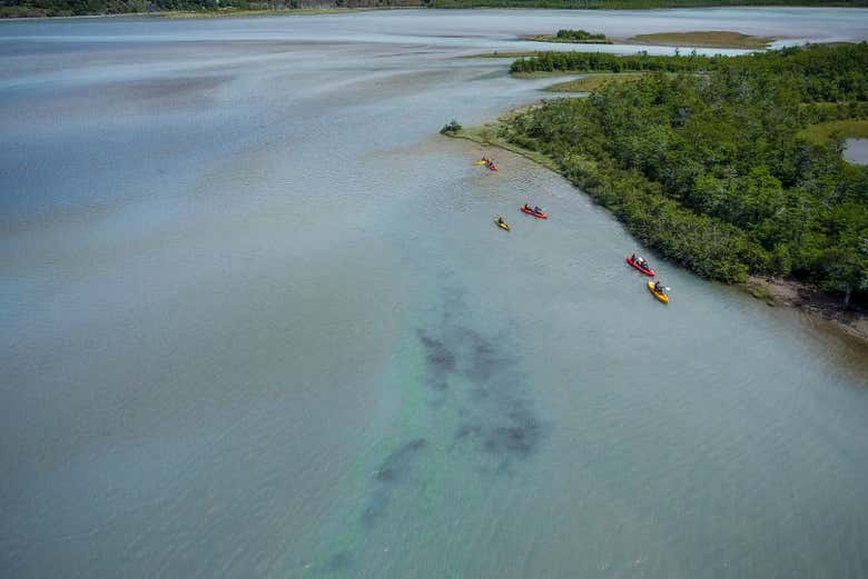 Disfrutando del tour en kayak