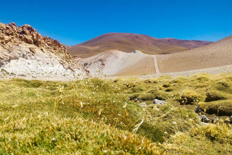 Recorreremos una de las zonas más sorprendentes de Catamarca