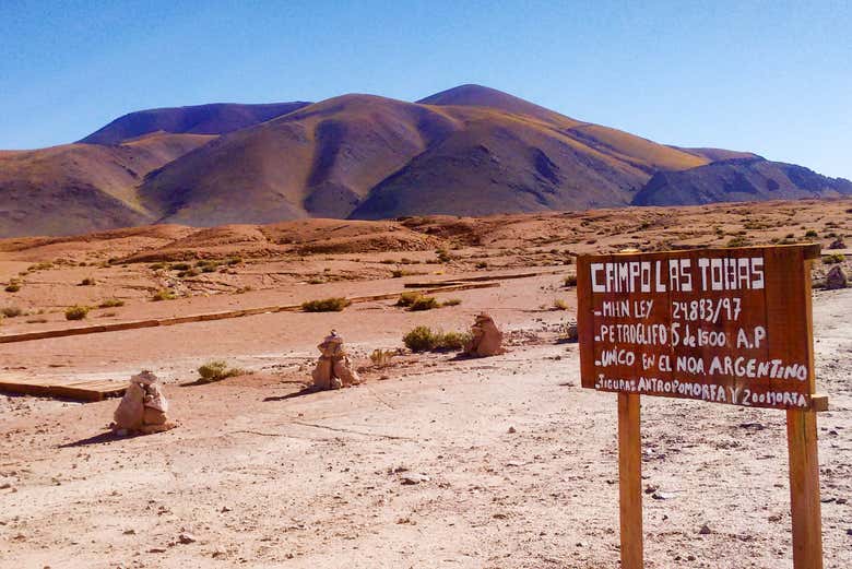 Campo de Las Tobas