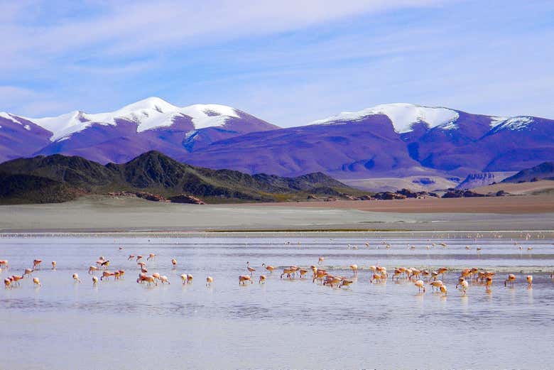 Laguna Grande