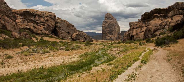 Excursão a Piedra Parada e ao Cañadón de la Buitrera