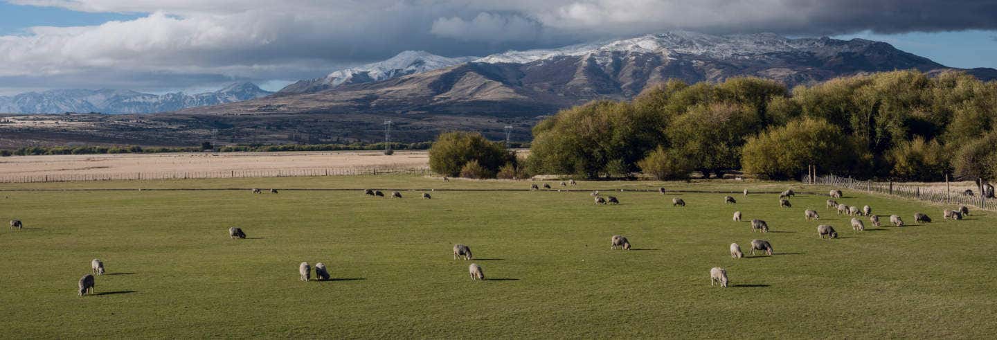 Escursioni di un giorno a Esquel