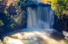 Excursión a Trevelin + Cascadas y viñas del Nant y Fall