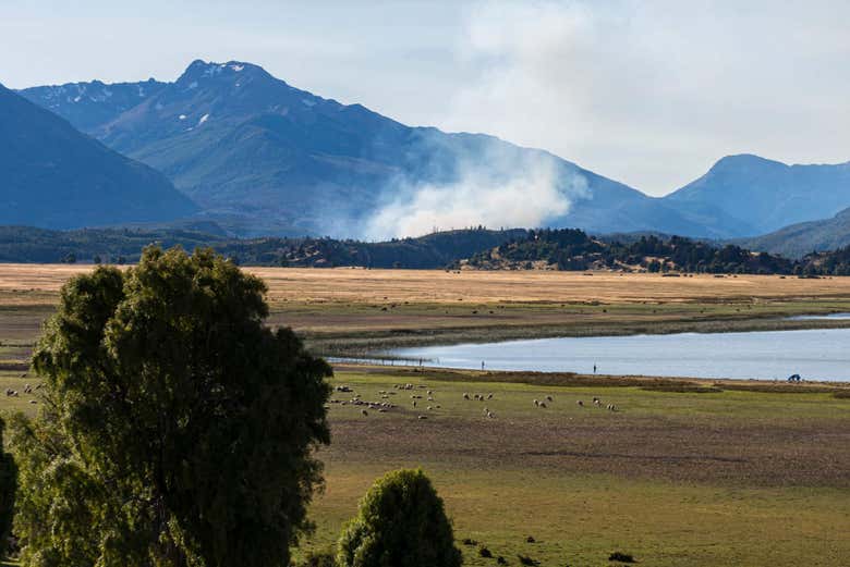 Terraplén Lagoon, in Los Alerces