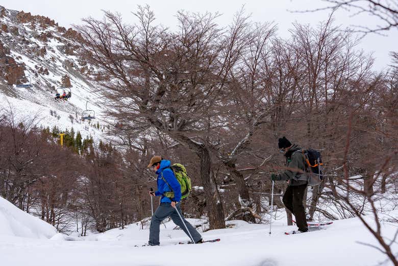 Cruzad los bosques patagónicos teñidos de blanco