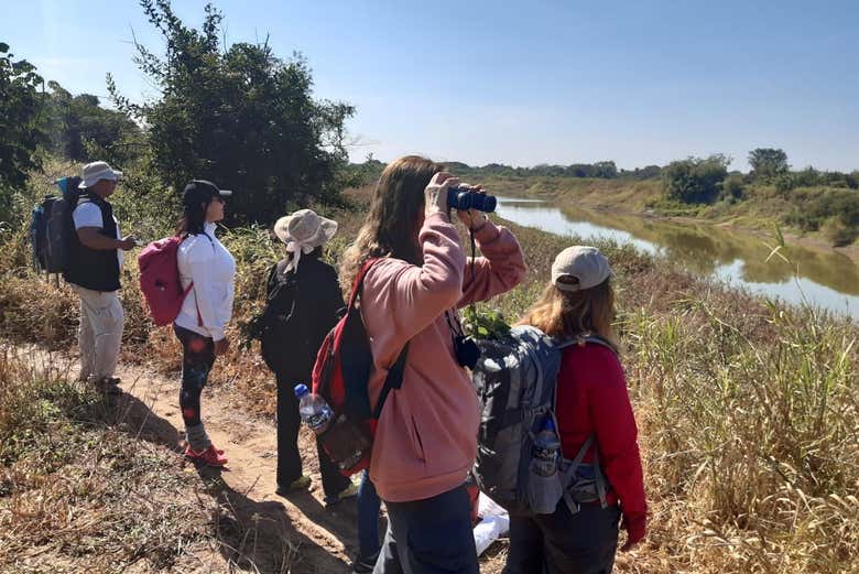 Observando a fauna da lagoa Oca
