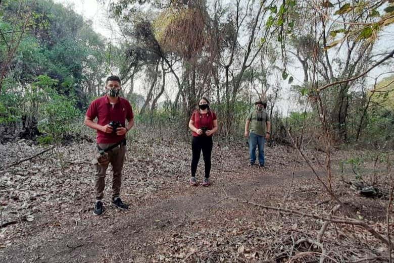 Em busca de aves endêmicas