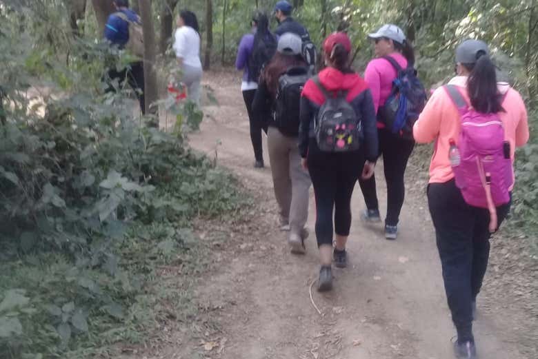 Caminhando pelas trilhas da lagoa