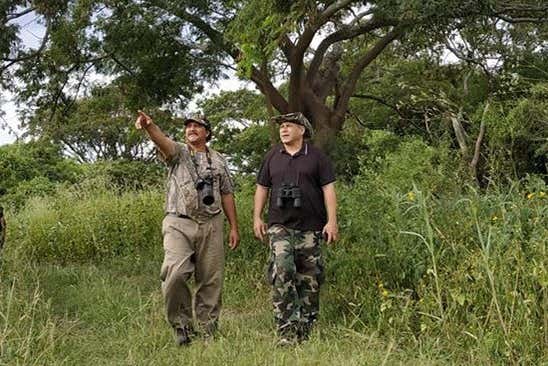 O guia vai nos ensinar a observar as aves
