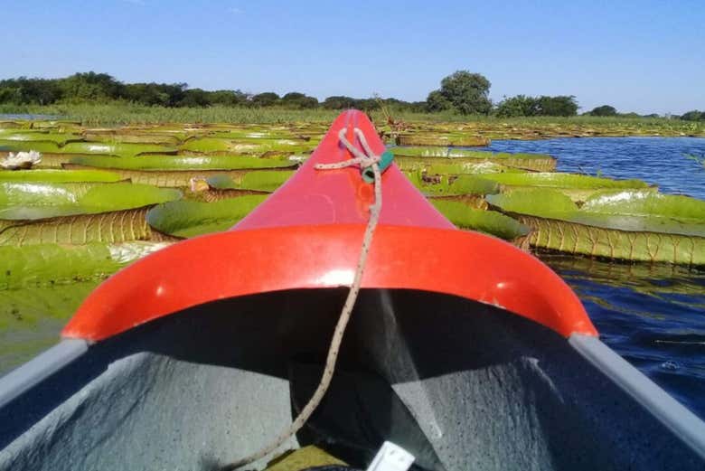 Paisagens do rio Paraguai a bordo do caiaque
