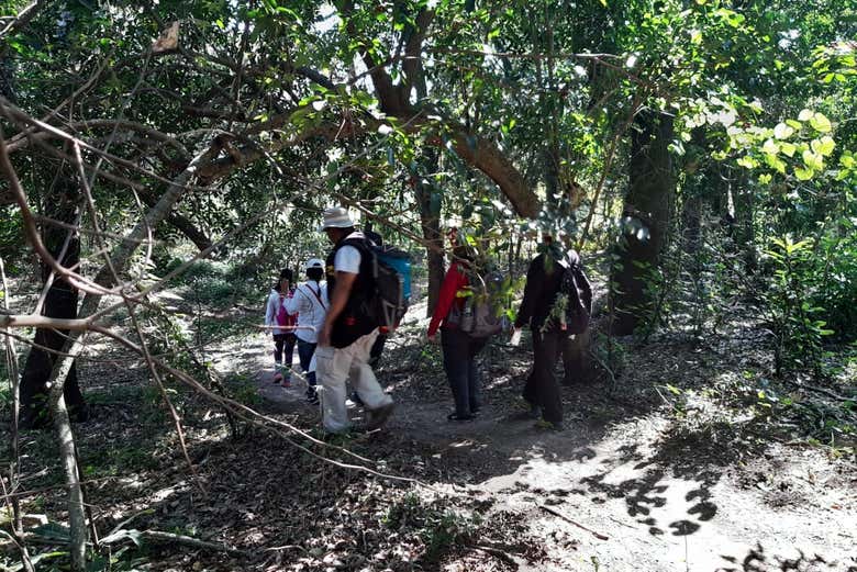 Trilha pela lagoa Oca