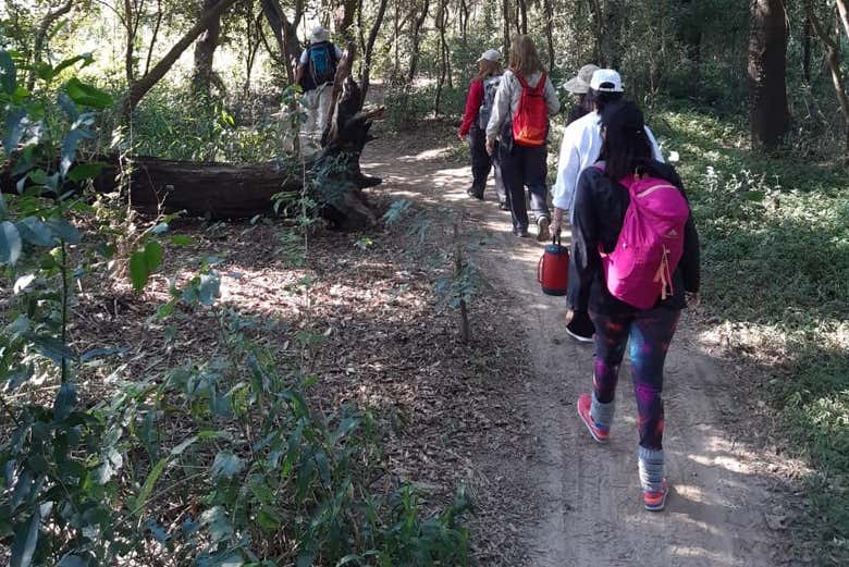 Seguindo o Sendero de los Carpinchos