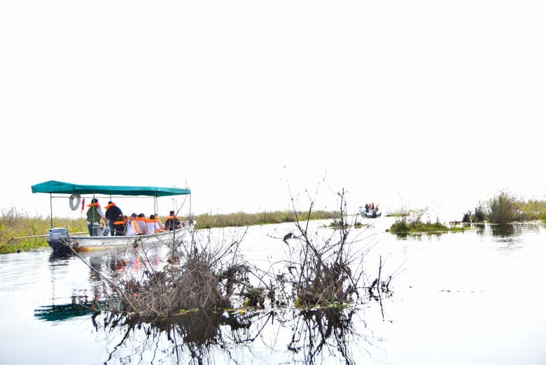 Navegando por los esteros del Iberá