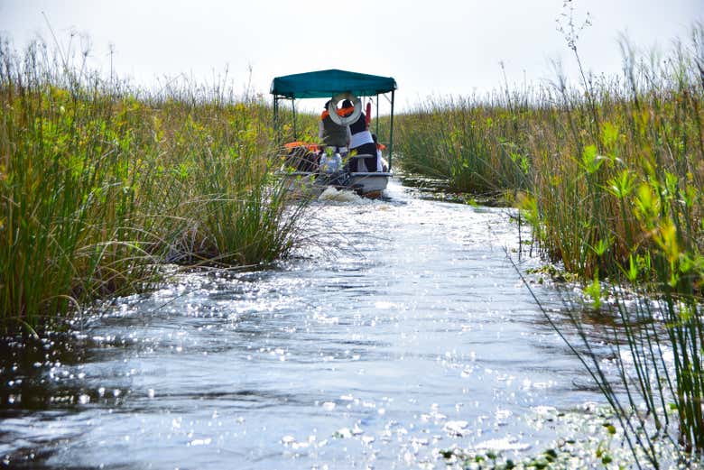 Travesía por los esteros del Iberá