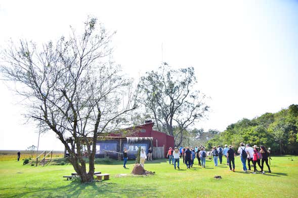 Tour por los esteros del Iberá
