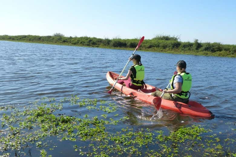 Kayaking down the waterways in the Iberá Marshes