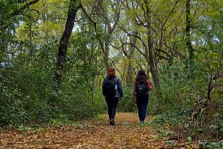 Caminando por el Parque Nacional El Impenetrable