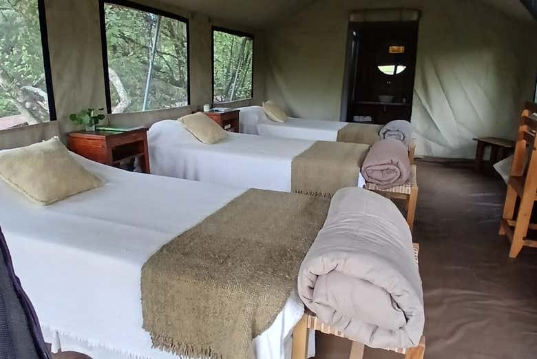 Las camas del glamping en el que pasaremos la noche